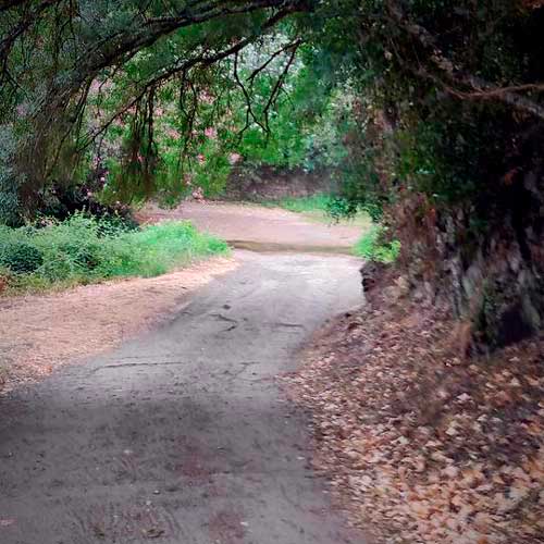Ruta ciclista Aracena Huelva