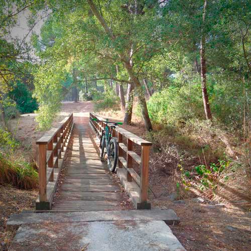 Almonte condado Huelva Doñana ruta ciclista
